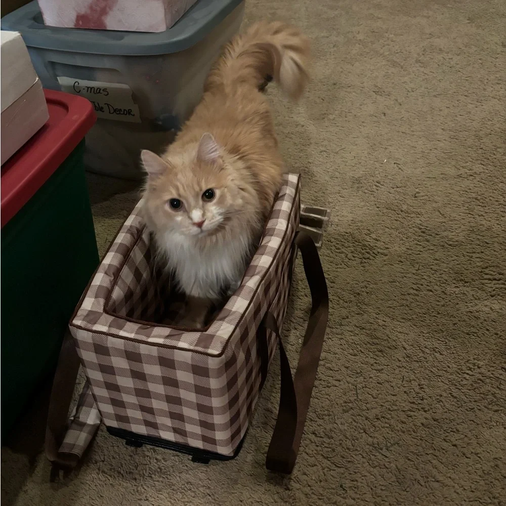 Geerduo Pet Carrier Tote